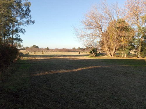 Imagen 17 de 19 de Venta - Hermosa Chacra De 8,7 Hectareas