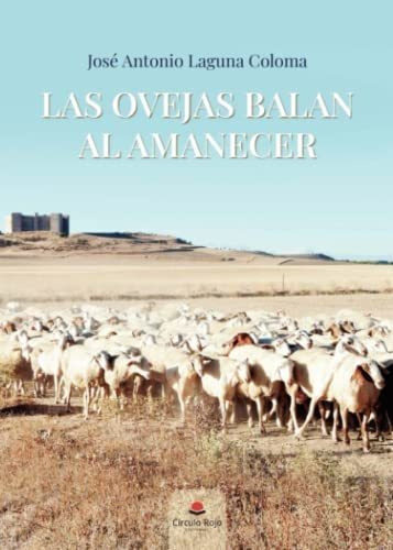 Las Ovejas Balan Al Amanecer