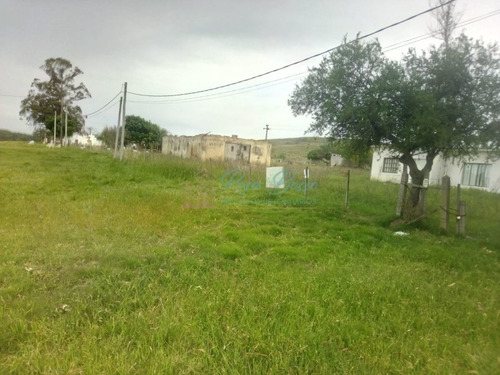 Imagen 4 de 13 de Chacra A 15 Minutos Punta Ballena. - Maldonado