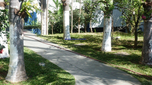 Imagem 5 de 30 de Prédio Comercial 2.917,60m², 18 Banheiros E 35 Vagas Na Garagem. Excelente Localização Entre As Ruas Romão Puiggari, Dom Vilares, Angaturama E Peter - 21092801 - 70150324