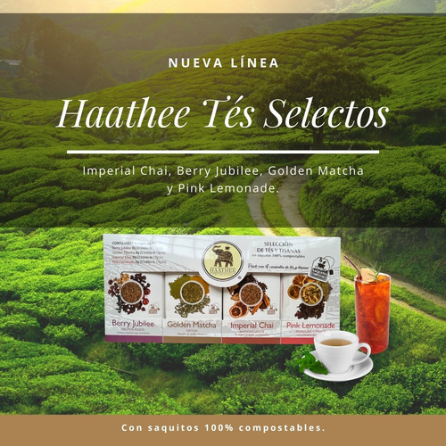 Te Energy Tea 20 Sobres Sin Cafeína Haathee Tes Selectos