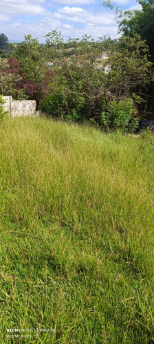 Vendo Terreno 8x17 Vem Nele, Último Lote, Valor Negociável