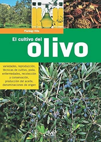 El Cultivo Del Olivo