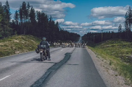 Norden 901 2023 Husqvarna Motorcycles
