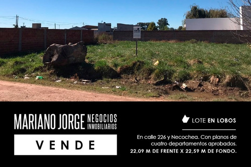 Imagen 1 de 4 de Lote Para Desarrolo
