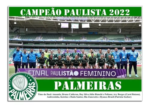 Baixe o pôster do Palmeiras campeão paulista de 2022 - 03/04/2022 - Esporte  - Folha