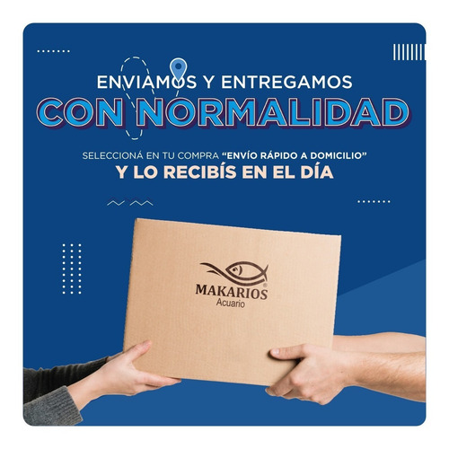 Grava Negra De Cuarzo Prodac 2,5kg Acuarios Pecera