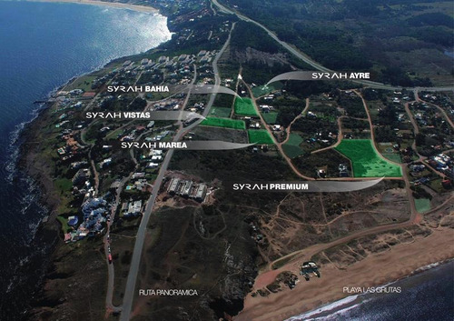 Departamento - Punta Ballena