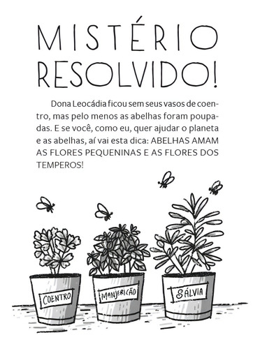 Os Detetives Do Prédio Azul, De Flávia Lins E Silva. Editora Pequena Zahar, Capa Mole Em Português, 2022 (Usado)