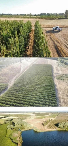 Agrícola En Venta En Bulnes - 44 Hectáreas A 27 Km Chillán