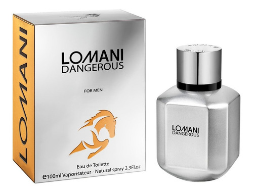 Perfume Lomani Dangerous Masculino Eau De Toilette 100ml