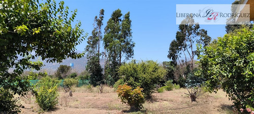 Casa En Arriendo En Limache