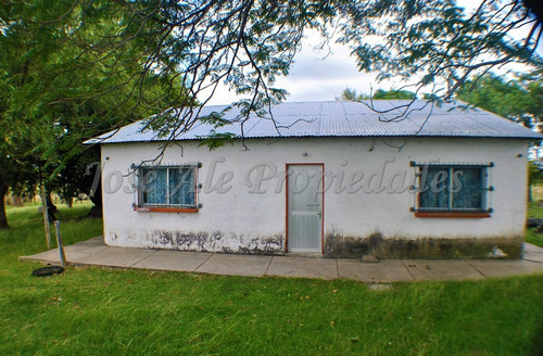 Imagen 8 de 14 de En Venta Campo De 137 Ha Colonia Del Sacramento
