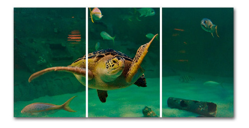 Cuadro Tortuga 6 60x120 Cm Entero, Triptico O Poliptico