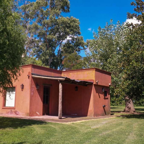 Imagen 17 de 30 de Campo Mixto De 74.38 Has En San Miguel Del Monte