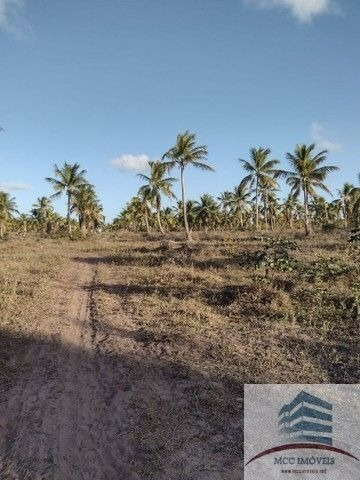 Imagem 4 de 5 de Terreno A Venda Lagoa Da Boa Água, Nísia Floresta
