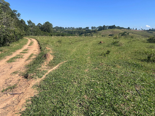 Sítio: Ideal Para Plantio De Café, 1,5 Km Do Asfalto!!