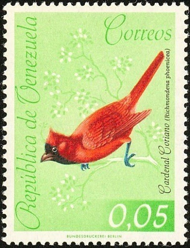 Imagen 7 de 7 de Estampillas Venezuela 1962 - Aves Venezolanas