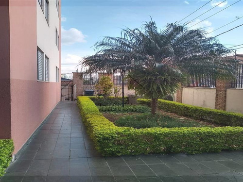 Apartamento Vila Esperança São Paulo/sp - 657
