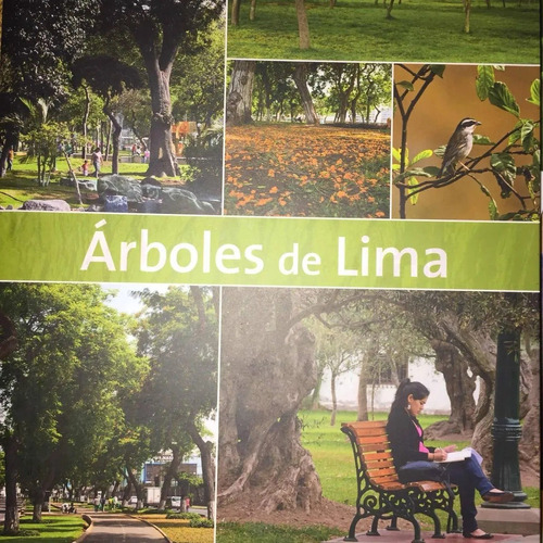 Árboles De Lima - Municipalidad De Lima