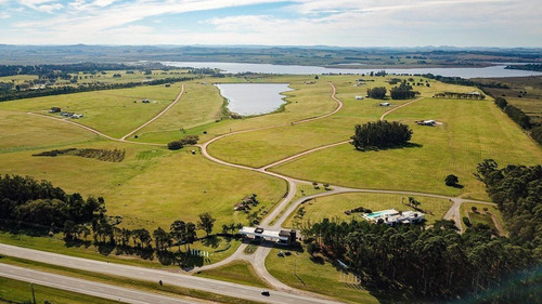 Imagen 5 de 9 de Terreno En Laguna De Los Cisnes, Punta Ballena - Laguna De Los Cisnes