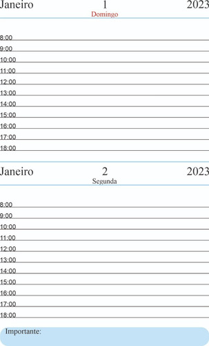 Imagem 10 de 10 de Agenda 2023 A5 2 Dias Por Pagina