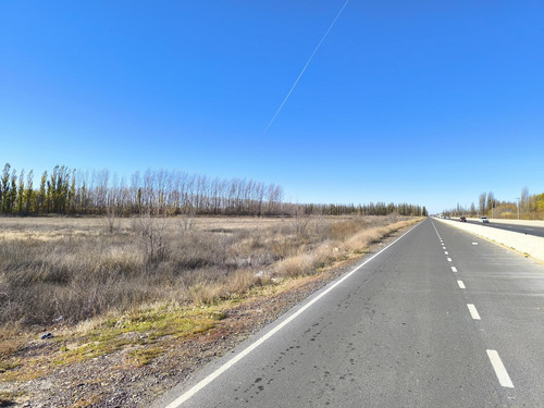 Venta De Hectareas Industriales, Comerciales O Para Produccion Sobre Ruta 22 - Rio Negro