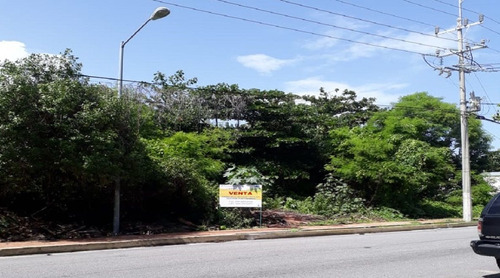 Imagen 6 de 29 de Terreno En Venta Punta Sam, Isla Mujeres