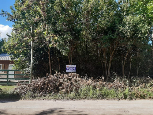 Lote En Veronica, 10x60, Punta Indio