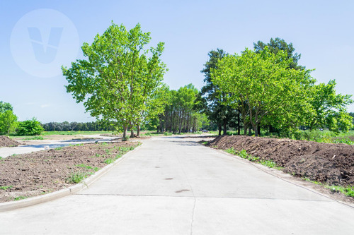 Lote Con Vista A Laguna En Venta - Barrio Cercana, Canning