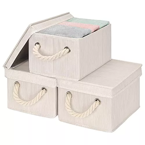 StorageWorks - Cajas de almacenamiento con tapas