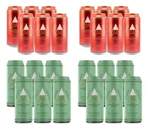 Comprar Cerveza Andes Ipa + Ipa Roja Lata 473 ml 12 Unidades