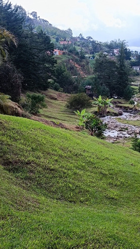 Imagen 27 de 30 de Finca En El Peñol Antioquia 7500 Mts Cuadrados. Escrituras Al Día.