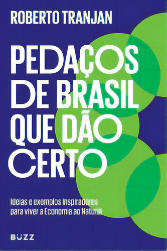 Pedaços De Brasil Que Dão Certo, De Tranjan, Roberto. Editora Buzz Editora, Capa Mole Em Português