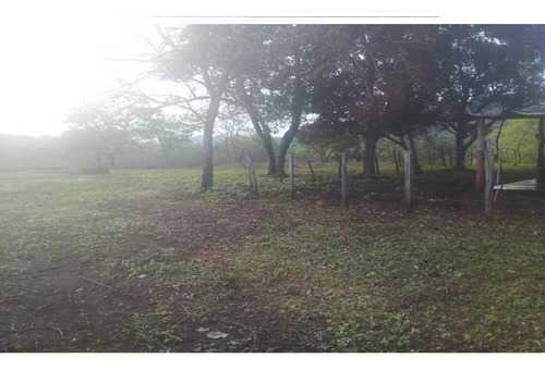 Imagen 2 de 14 de Se Vende Finca Agropecuaria - Cerca San Juan De Los Morros