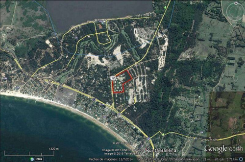 Ph Venta Punta Del Este