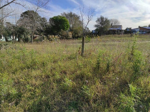Imagen 7 de 14 de Retasados | Lotes De 400 M2 / 600 M2 En Zona Multifamiliar | En Venta | Villa Gesell