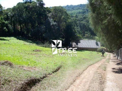 Imagem 6 de 6 de Chácara A Venda Caucaia Do Alto- Cotia- Sp. Uma Área Total De Até 12.200m², Excelente Oportunidade De Negócio - Ch00071 - 33014715