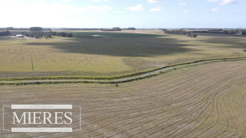 Campo Agrícola Ganadero De 1500ha Rocha (ref: Atm-6974)
