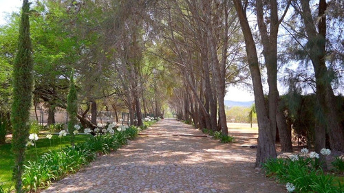 Terreno En Venta En San Miguel De Allende | Exclusividad Y Naturaleza