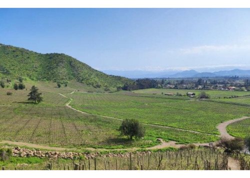 M64218 - Venta Terreno Viñas De Buin Sin Comision - 10 Ha