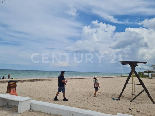 Imagen 5 de 29 de Preventa De Lotes Residenciales De Inversión En Telchac Yucatán