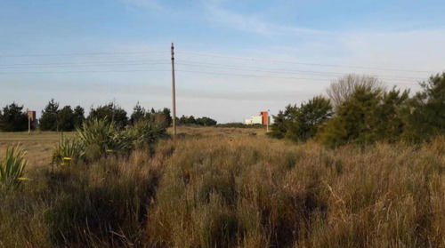 Imagen 8 de 11 de Terreno Venta -800mts2 Totales - San Clemente Del Tuyu