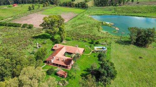Venta Chacra 15,75 Heactareas Con Casco Antiguo Ruta 34 La Montañesa
