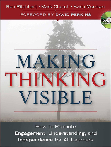 Libro Making Thinking Visible-inglés