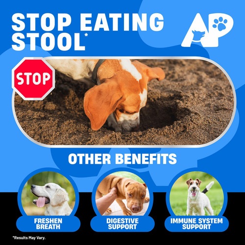 Mastiga Avid Paws, Não Faz Cocô Para Cães, Dissuasor De Copr