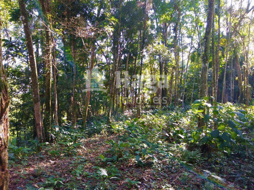 Imagem 27 de 30 de Chácara À Venda No Bairro Águas Claras - Brusque/sc - 1493c