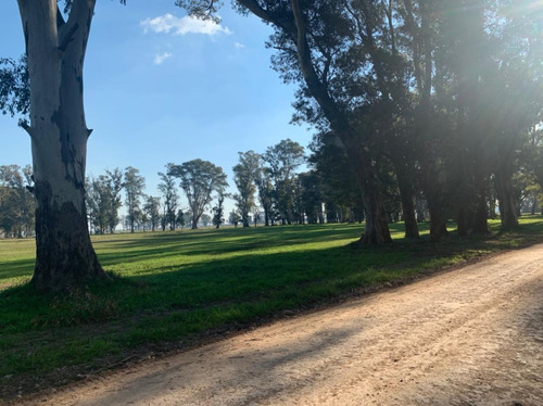Imagen 4 de 19 de Venta Lote Villa De Campo Tres Pinos Barrio Estribo Gral Rodriguez