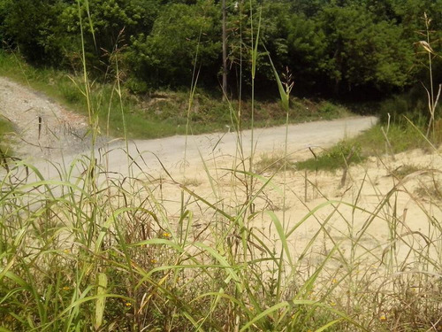 Vendo Lotes De 150 M² Camino A Juan Lucas Tuxpan Veracruz