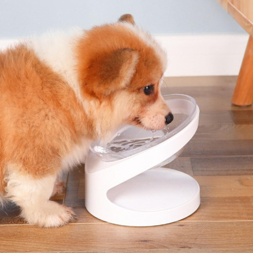 Cuenco Inclinado De Pie Alto Para Perros Y Gatos,
